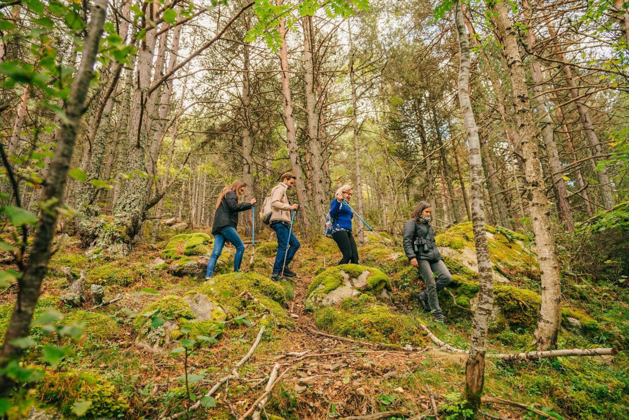 Monnatura Pirineus Son Del Pi Exteriér fotografie